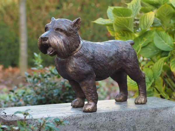 Bronzefigur Yorkshire Hund