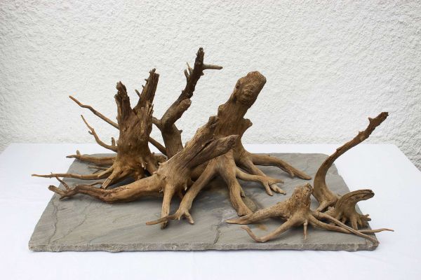 Skulptur "Dead Forest"