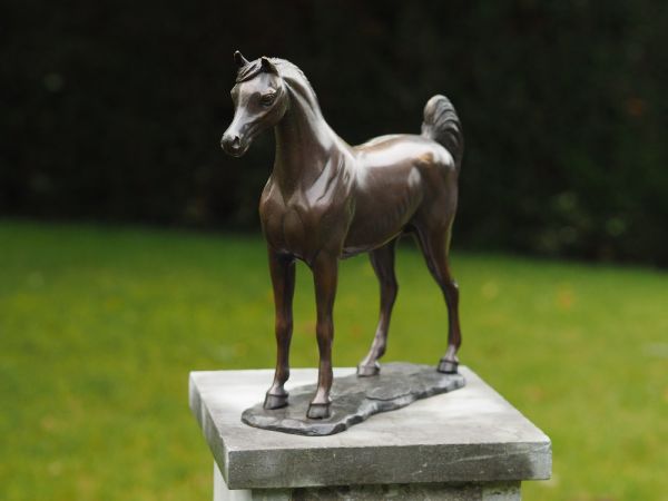 Bronzefigur Schönes Pferd